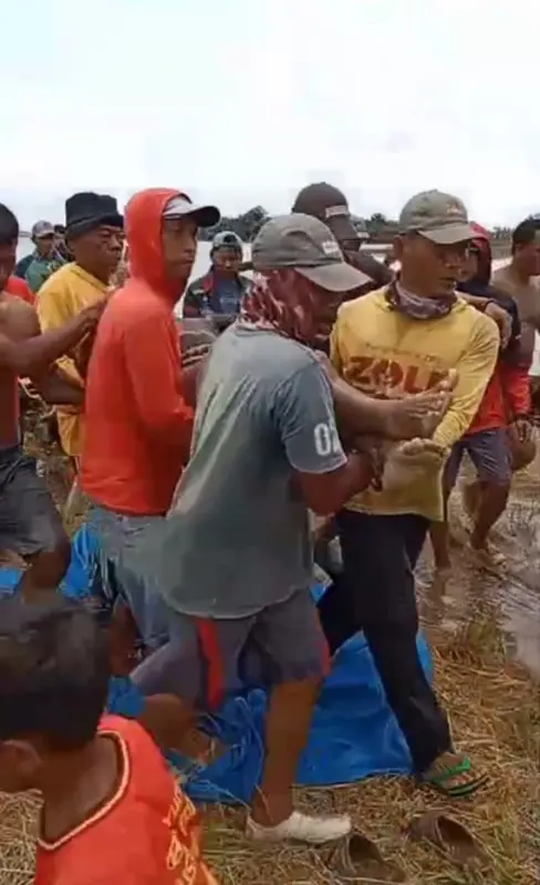 BANJIR DI DESA MARGA BATIN LAMPUNG TIMUR MENELAN KORBN JIWA
